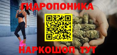 стафф Кимры